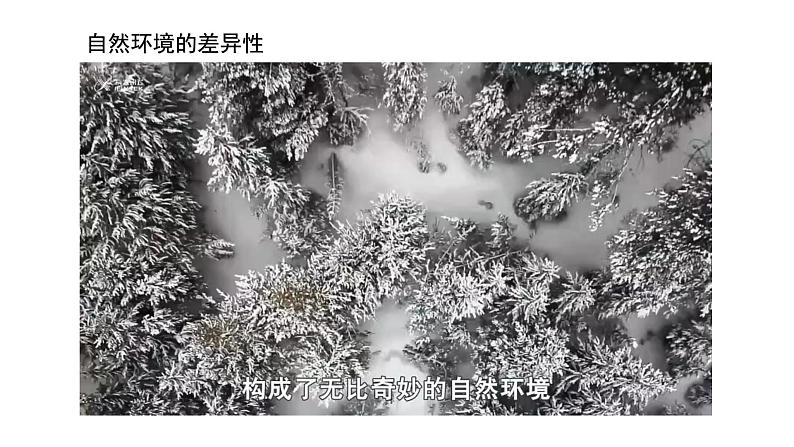 5.2 自然环境的地域差异性 课件 高中地理湘教版（）选择性必修1第3页