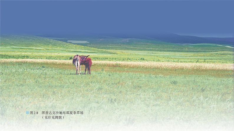 人教版（2019）选择性必修2：2.2《生态脆弱区的综合治理》教学课件第3页