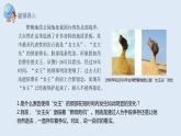2.2 課時(shí)2 地表形態(tài)的變化第2課時(shí)   課件高二地理湘教版（2019）選擇性必修第一冊