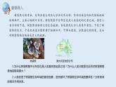 5.1 自然环境的整体性   课件高二地理湘教版（2019）选择性必修第一册
