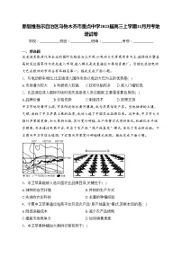 新疆维吾尔自治区乌鲁木齐市重点中学2023届高三上学期11月月考地理试卷(含答案)