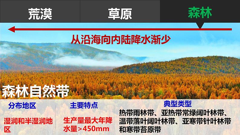 5.2自然环境的地域差异性课件2024-2025学年湘教版（2019）地理高二选择性必修一06