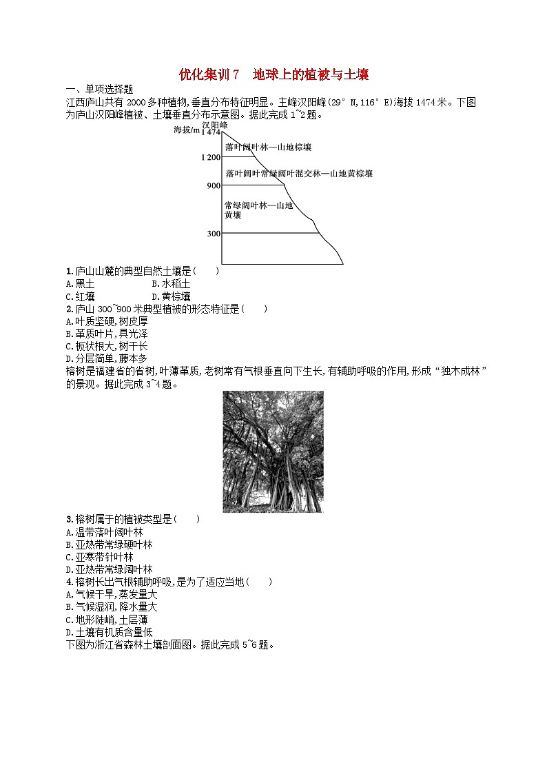 2024高考地理基础知识复习优化集训试题7地球上的植被与土壤01