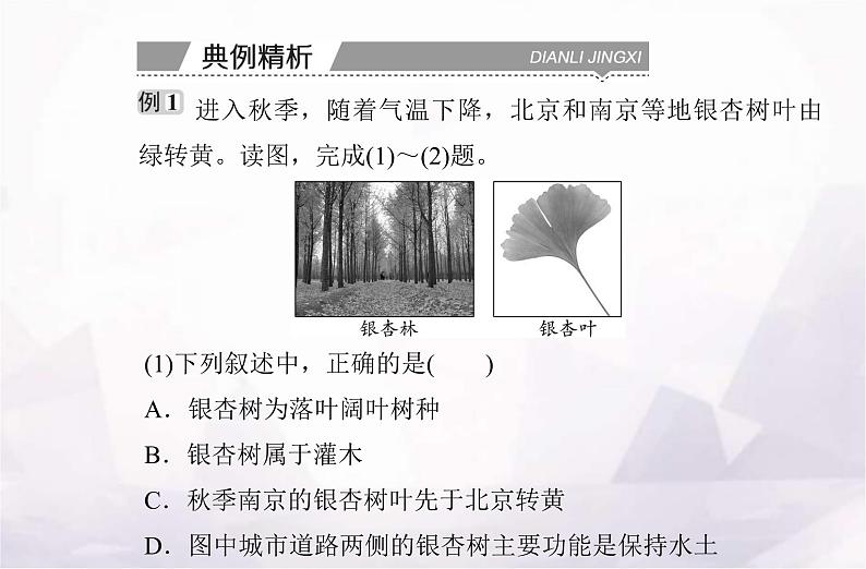 高中地理学业水平测试复习专题五植被与土壤课件第8页