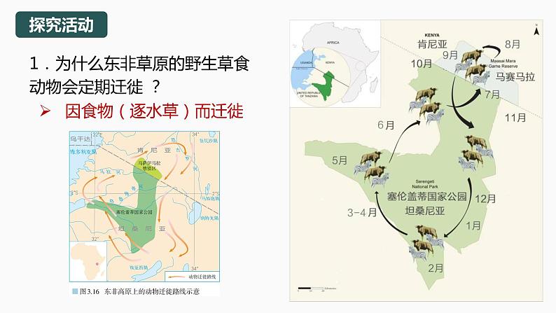 3.2  《气压带、风带与气候》（含3、4课时）第8页