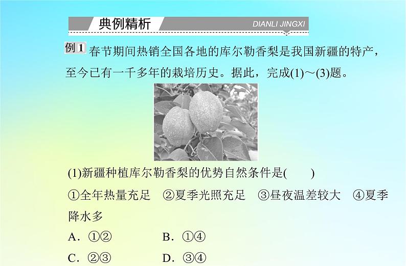 2024届广东省高一地理学业水平测试复习专题九产业区位因素课件07