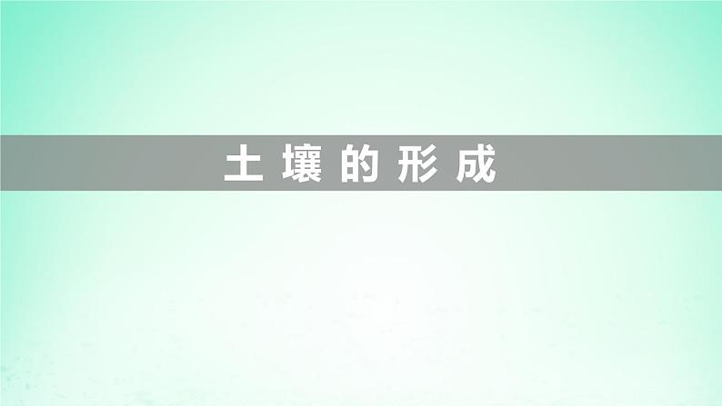 2024春新教材高中地理5.2土壤的形成课件（湘教版必修第一册）01