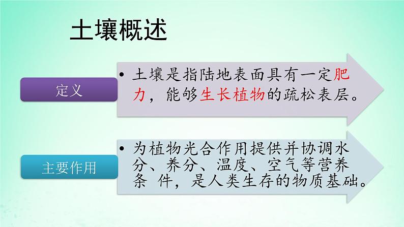 2024春新教材高中地理5.2土壤的形成课件（湘教版必修第一册）06