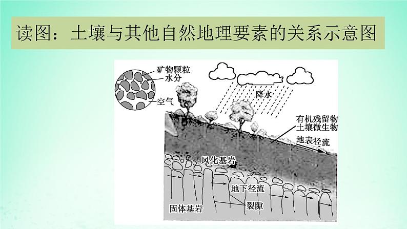 2024春新教材高中地理5.2土壤的形成课件（湘教版必修第一册）08