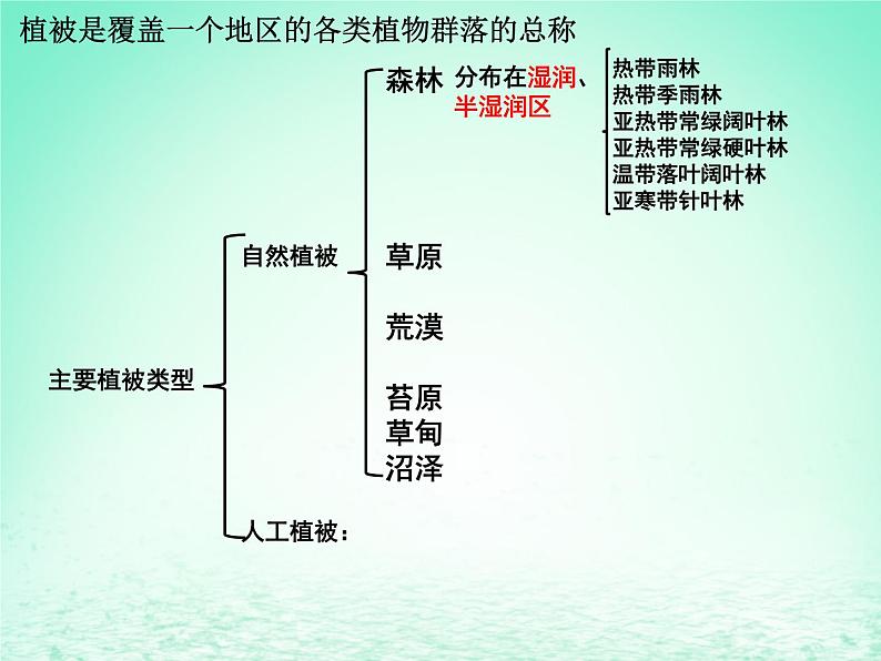 2024春新教材高中地理5.1主要的植被与环境第1课时课件（湘教版必修第一册）05