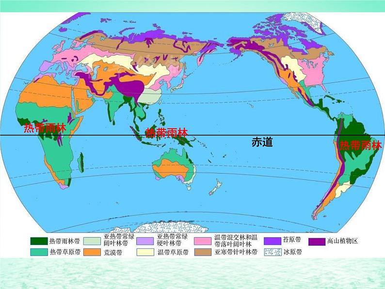 2024春新教材高中地理5.1主要的植被与环境第1课时课件（湘教版必修第一册）06