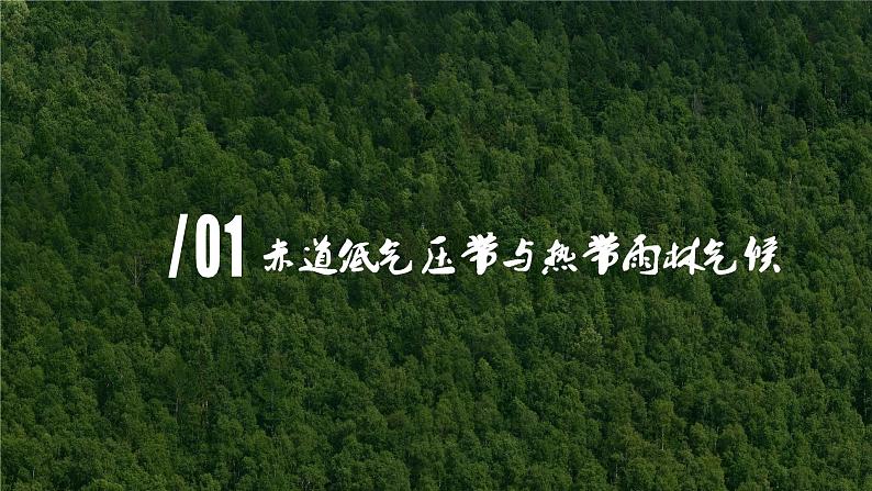 2024春新教材高中地理3.2.1气压带风带与气候第1课时课件（湘教版选择性必修1）第4页