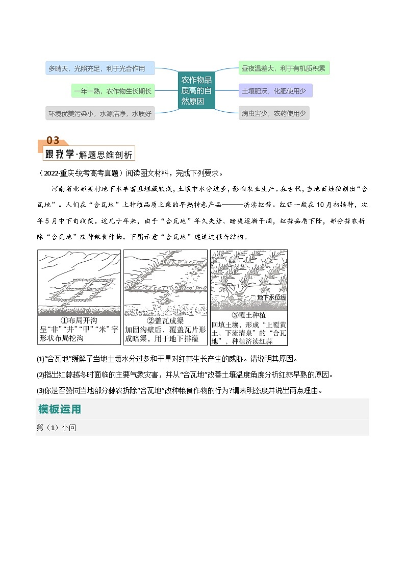 题型06 农业（答题模版）-2024年高考地理答题技巧与模板构建03