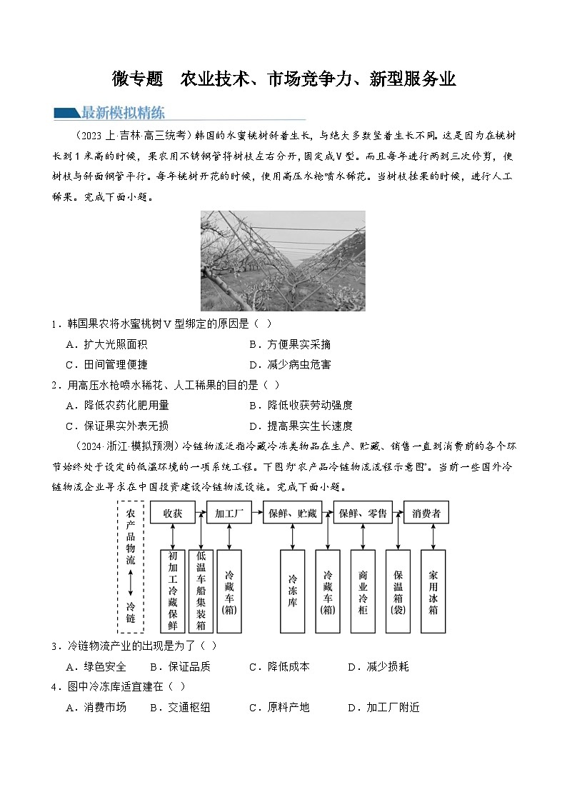 （新高考）高考地理二轮复习专题09 微专题  农业技术、市场竞争力、新兴服务业（练习）（原卷版）第1页
