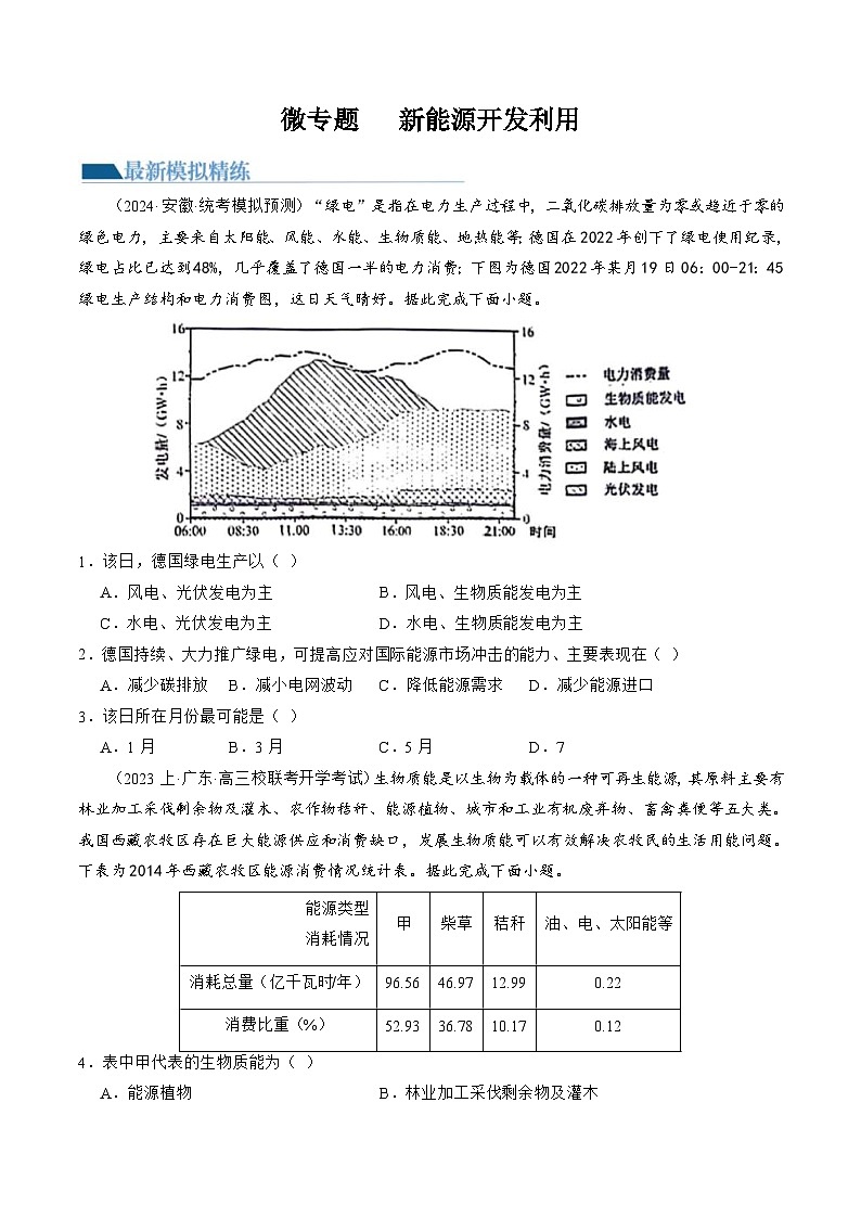 （新高考）高考地理二轮复习专题12 微专题   新能源开发利用（练习）（原卷版）第1页