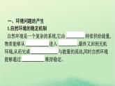 2024春高中地理第1章自然环境与人类社会第3节环境问题及其危害课件（人教版选择性必修3）