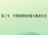 2024春高中地理第2章资源安全与国家安全第3节中国的耕地资源与粮食安全课件（人教版选择性必修3）