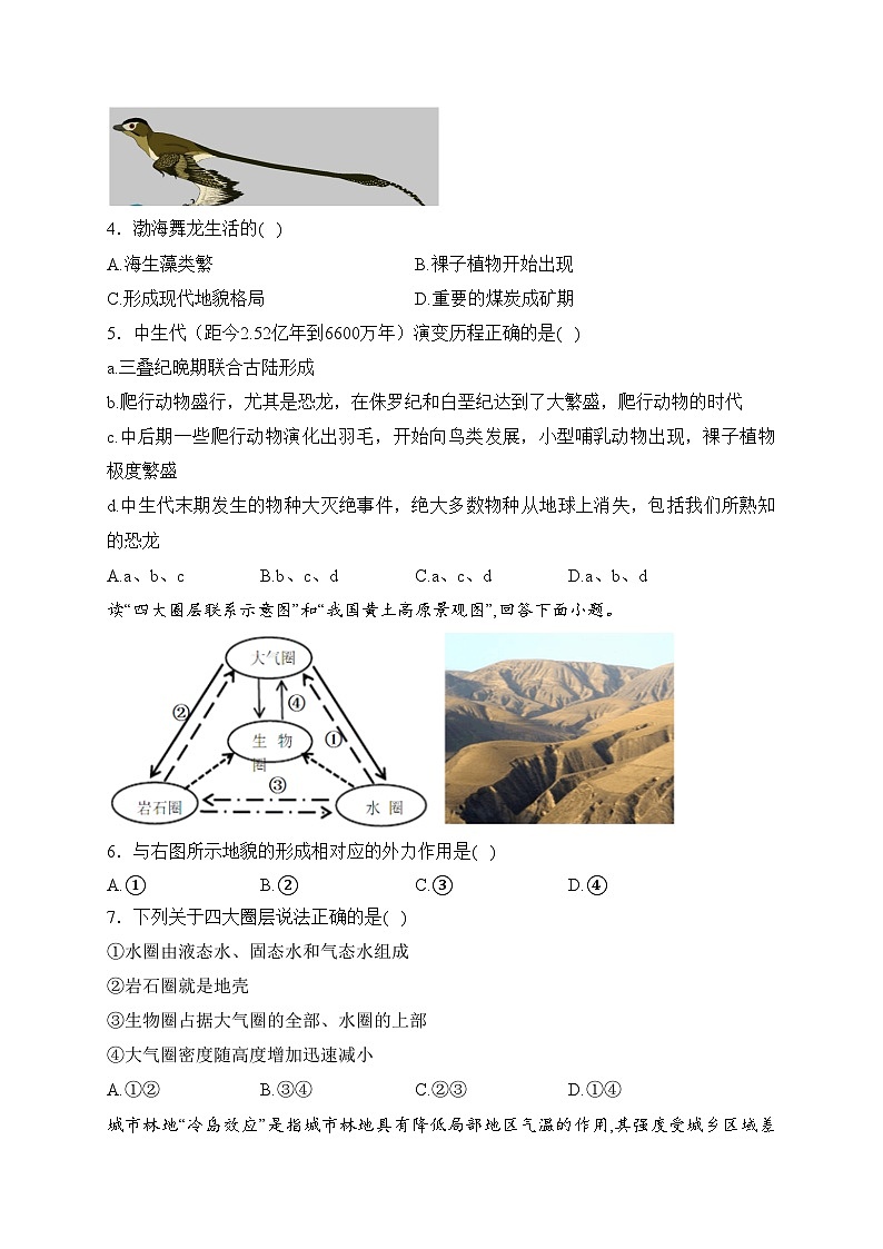 河南省光山县第二高级中学2023-2024学年高一下学期2月阶段检测地理试卷(含答案)第2页