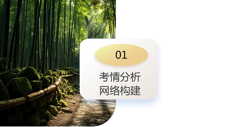 第29讲 环境问题与可持续发展（课件）-2024年高考地理一轮复习复习（新教材新高考）第5页