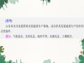 高中地理鲁教版（2019）必修二 第三单元 第一节　农业的区位选择课件