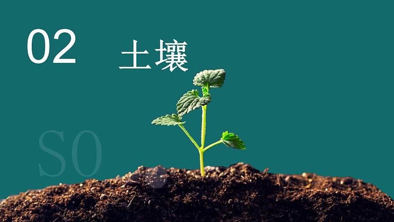 考点08 植被与土壤（第2课时）—备战2024年高考地理一轮复习优质课件（通用版）第7页