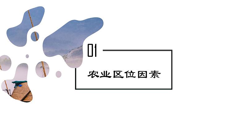 考点12 农业区位因素及其变化（第1课时）—备战2024年高考地理一轮复习优质课件（通用版）07