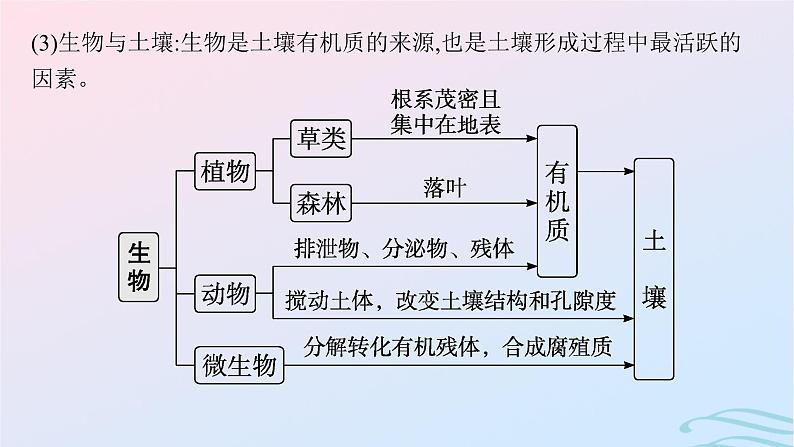 新高考新教材2024届高考地理二轮总复习专题5自然环境的整体性和差异性课件第8页