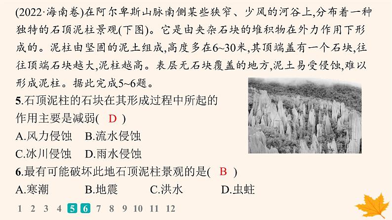 备战2025届高考地理一轮总复习第1篇自然地理第5章地表形态的塑造高考专项练课件08