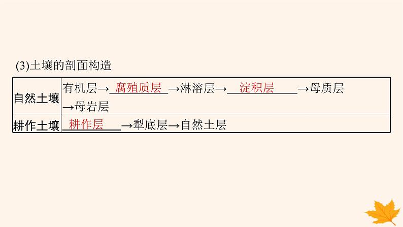 备战2025届高考地理一轮总复习第1篇自然地理第6章自然环境的整体性和差异性第1讲课时2土壤课件第5页