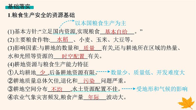 备战2025届高考地理一轮总复习第4篇资源环境与国家安全第18章资源安全与国家安全第3讲中国的耕地资源与粮食安全课件第5页