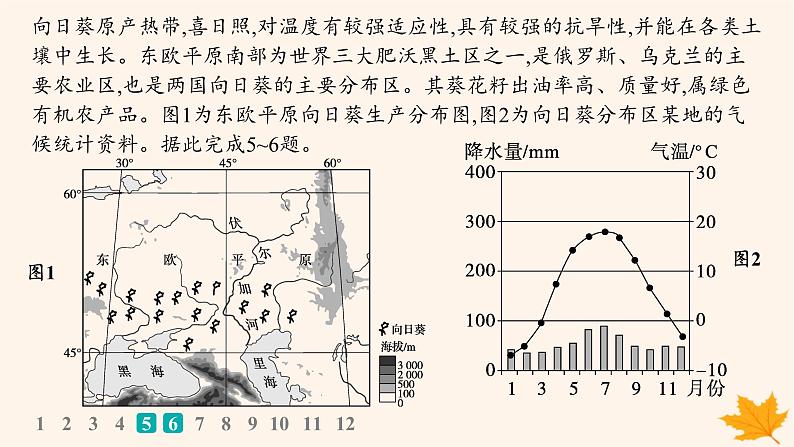 备战2025届高考地理一轮总复习第1篇自然地理第3章地球上的大气课时规范练18世界主要气候类型气候与自然景观课件06