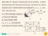 备战2025届高考地理一轮总复习第1篇自然地理第5章地表形态的塑造课时规范练25地质构造与地貌课件