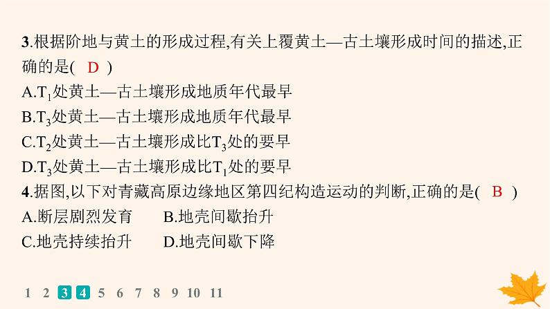 备战2025届高考地理一轮总复习第1篇自然地理第5章地表形态的塑造课时规范练28其他常见地貌课件05