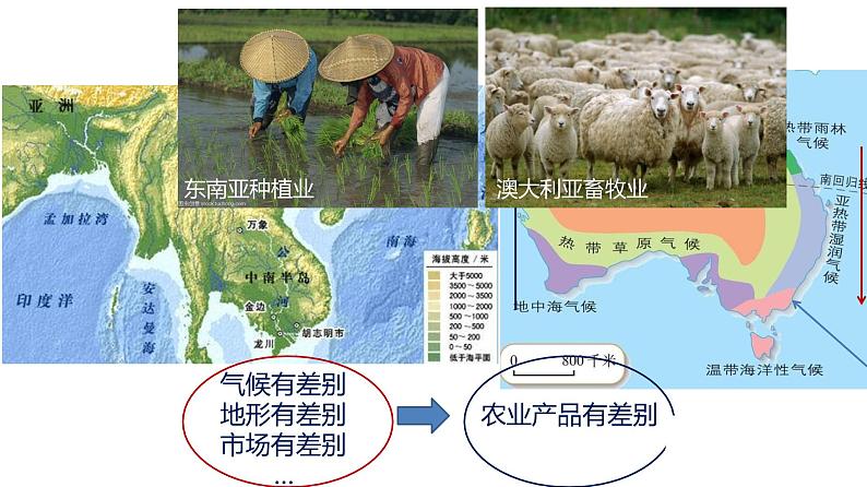 3.1农业区位因素及其变化 课件第5页