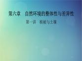 2025高考地理一轮总复习第1部分自然地理第6章自然环境的整体性与差异性第1讲植被与土壤课件