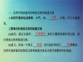 2025高考地理一轮总复习第1部分自然地理第6章自然环境的整体性与差异性第2讲自然环境的整体性课件