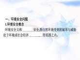 人教版高中地理選擇性必修3第3章環(huán)境安全與國家安全第1節(jié)環(huán)境安全對國家安全的影響課件