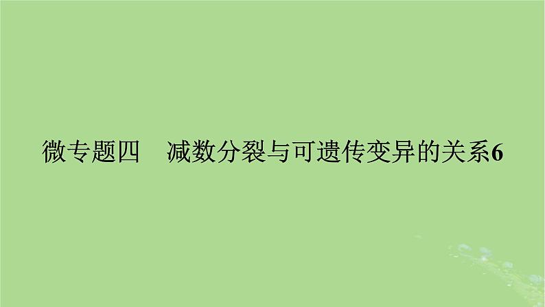 2025版高考生物一轮总复习必修1微专题4减数分裂与可遗传变异的关系课件第1页