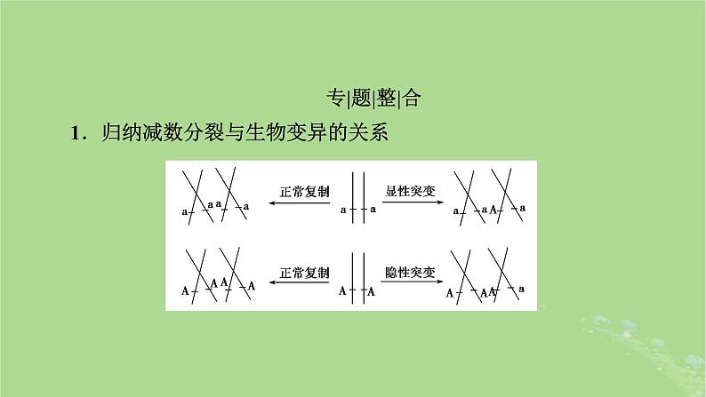 2025版高考生物一轮总复习必修1微专题4减数分裂与可遗传变异的关系课件第2页