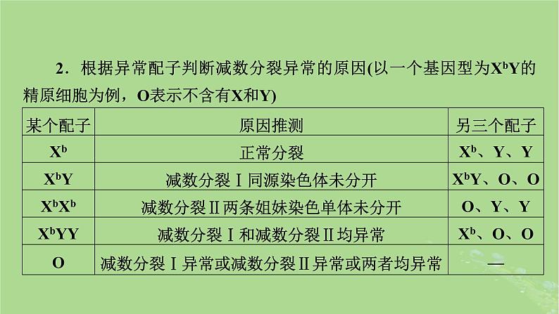 2025版高考生物一轮总复习必修1微专题4减数分裂与可遗传变异的关系课件第6页