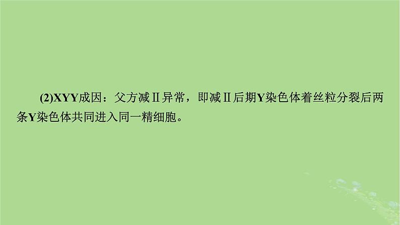 2025版高考生物一轮总复习必修1微专题4减数分裂与可遗传变异的关系课件第8页