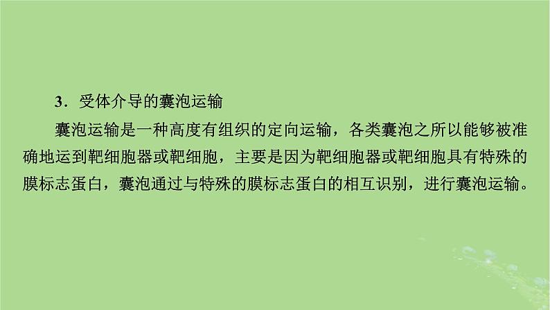 2025版高考生物一轮总复习必修1情境拓展1信号识别与囊泡运输主动运输三种类型课件第4页