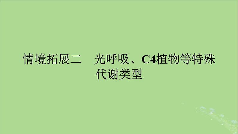 2025版高考生物一轮总复习必修1情境拓展2光呼吸C4植物等特殊代谢类型课件第1页