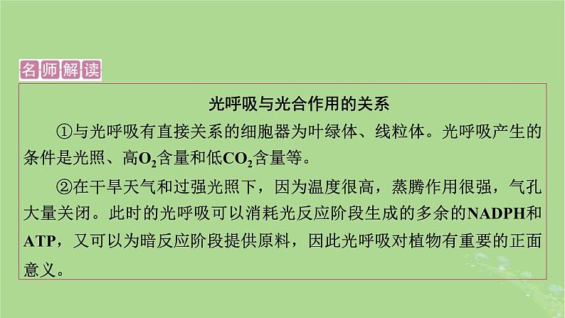 2025版高考生物一轮总复习必修1情境拓展2光呼吸C4植物等特殊代谢类型课件第3页