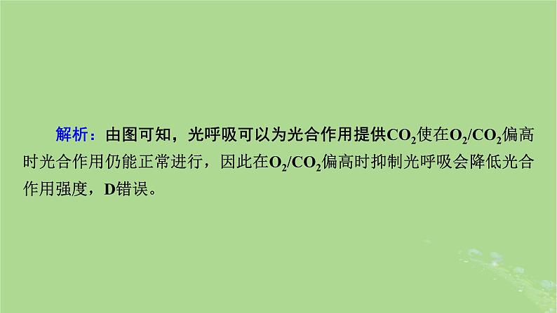 2025版高考生物一轮总复习必修1情境拓展2光呼吸C4植物等特殊代谢类型课件第5页