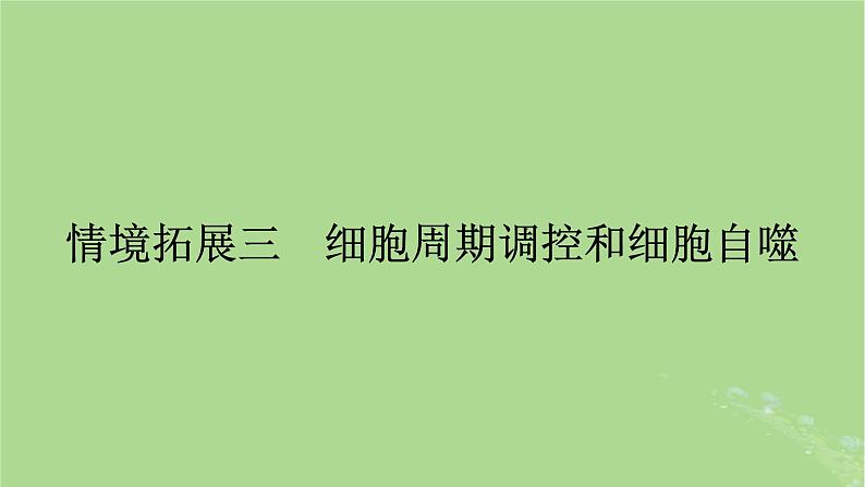 2025版高考生物一轮总复习必修1情境拓展3细胞周期调控和细胞自噬课件第1页