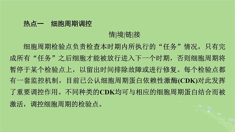 2025版高考生物一轮总复习必修1情境拓展3细胞周期调控和细胞自噬课件第2页