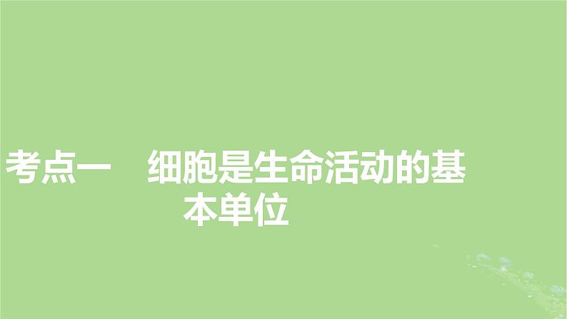 2025版高考生物一轮总复习必修1第1单元走近细胞和组成细胞的分子第1讲走近细胞课件第3页