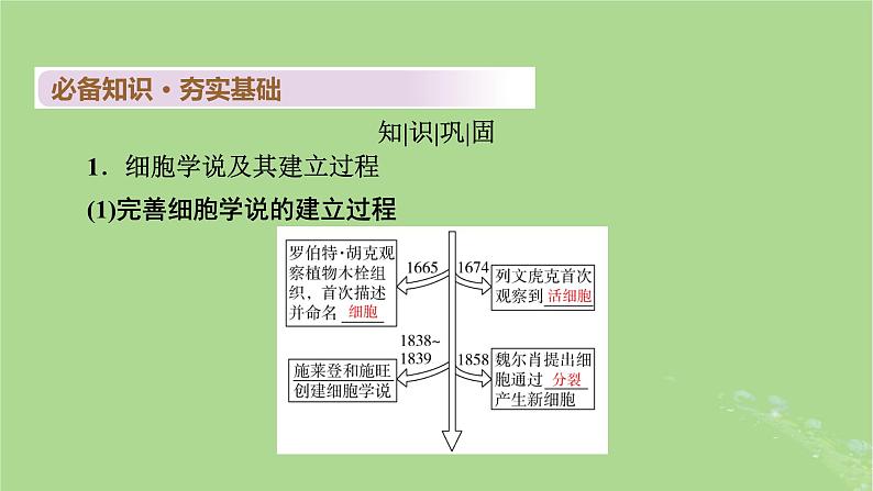 2025版高考生物一轮总复习必修1第1单元走近细胞和组成细胞的分子第1讲走近细胞课件第4页