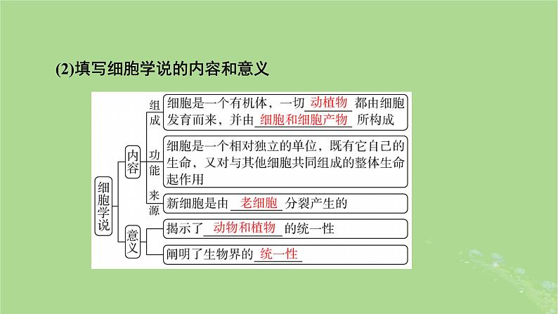 2025版高考生物一轮总复习必修1第1单元走近细胞和组成细胞的分子第1讲走近细胞课件第5页